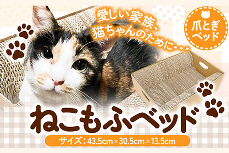 猫 ねこもふベット