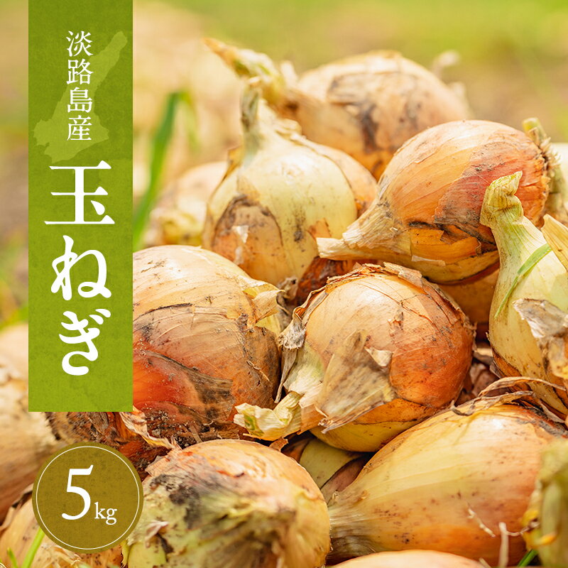 【ふるさと納税】淡路島産玉ねぎ　5kg　たまねぎ タマネギ 玉葱 吊り玉 秀品 野菜 新鮮 長持ち カレー シチュー バーベキュー スープ 兵庫県 洲本市 淡路島　お届け：2026年6月～2027年1月
