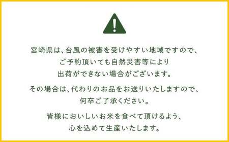 ＜令和6年産 宮崎県産夏の笑み（無洗米）20kg(5kg×4袋) 3か月定期便＞ ※翌月中旬に第一回目発送【c957_ku_x4】 米 希少品種