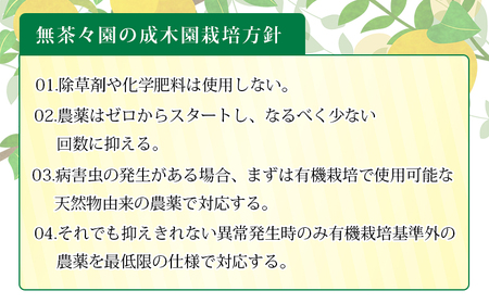 先行予約 ＜無茶々園の黄金柑 約3kg（30～60玉）＞ フルーツ 果物 おうごんかん みかん ミカン 柑橘 期間限定 季節限定 無茶々園 特産品 愛媛県 西予市【常温】『2025年3月下旬～4月末迄