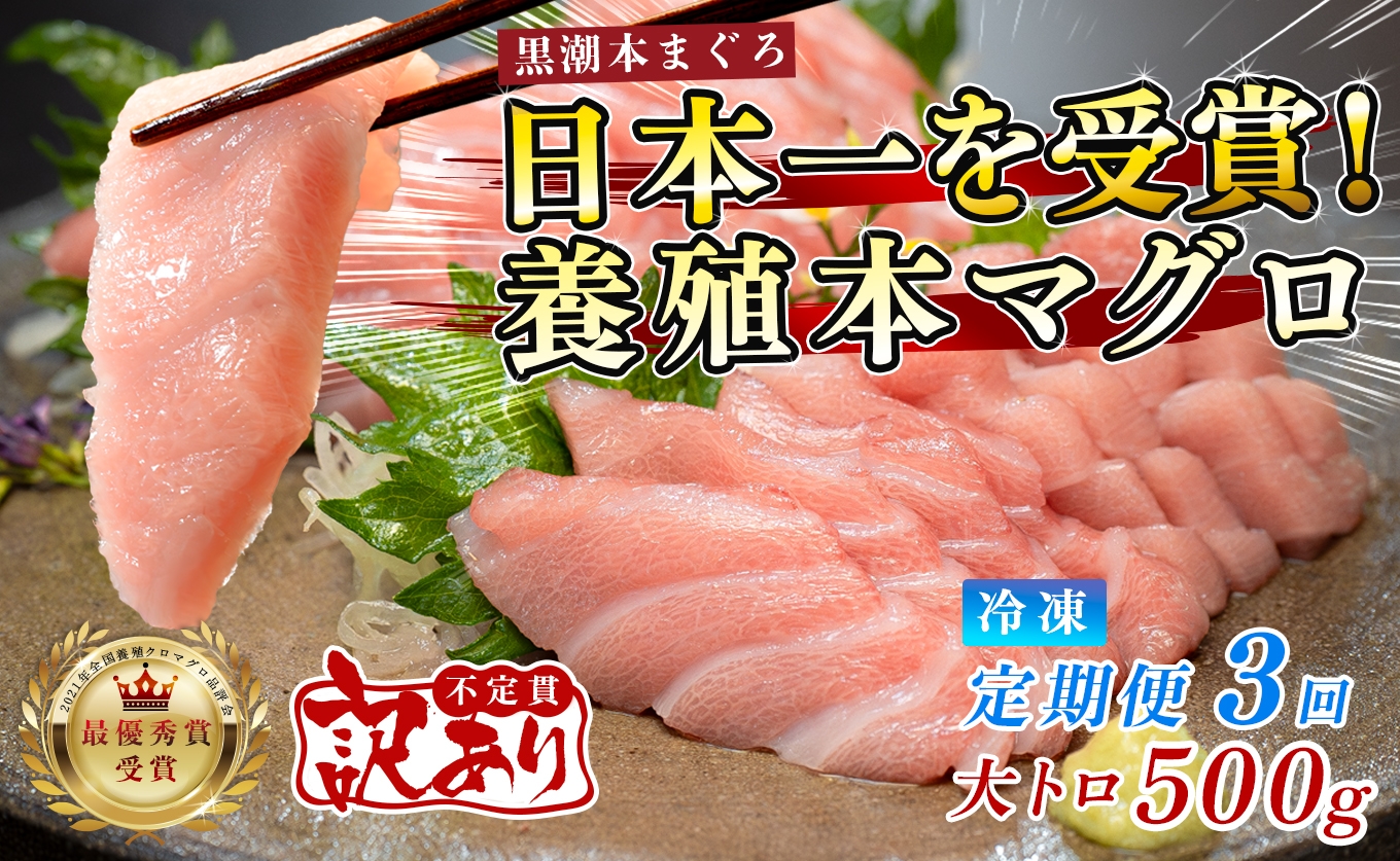 
                  訳あり 不定貫 定期便 3回 国産 養殖本マグロ 大トロ 毎回500g×3回 黒潮本まぐろ 全国養殖クロマグロ品評会 最優秀賞受賞 3ヶ月 3か月 柵 刺身用 本マグロ クロマグロ 本鮪 まぐろ 鮪 お刺身 さしみ トロ 海鮮丼 漬け丼 手巻き寿司 鉄火丼 まぐろ丼 小分け 個包装 真空パック 冷凍 不揃い 家庭用 海鮮 年末年始 高知県 大月町 8万円
                