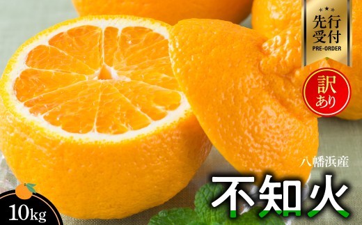 【先行受付】八幡浜産・不知火10kg＜訳あり＞＜E56-40＞_訳アリ わけあり ワケアリミカン みかん しらぬい シラヌイ 10kg フルーツ 果物 くだもの 家庭用 人気 柑橘 かんきつ 不揃い 規格外 傷 愛媛 旬 産地直送 産直 季節限定 【1479305】 YWTAS030