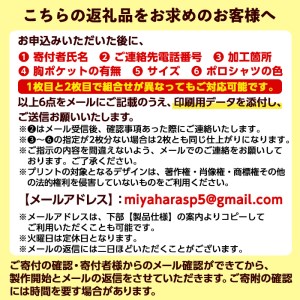 isa407 好きなデザインを印刷！カラーや印刷箇所も選べるオリジナルポロシャツ(2枚1組・加工場所1箇所)男女兼用 メンズ レディース イベント お揃い 衣類 シャツ オリジナル プリント 印刷【宮