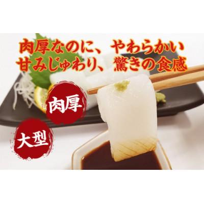 ふるさと納税 香美町 大型サイズ使用 超肉厚な赤イカむき身(お刺身用)約1kg入(冷凍) |  | 01