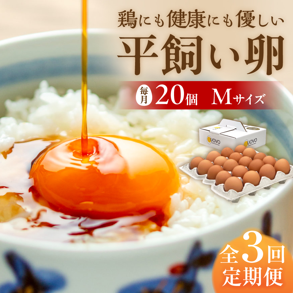 【全3回定期便】 こだわりの卵 「 天上卵 」 20個 セット 糸島市 / 株式会社おおはまファーム [AKH002]