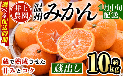 ＜1月中旬より順次発送予定＞大分県宇佐市産 蔵出し みかん(約10kg)ミカン 蜜柑 柑橘 フルーツ 果物 くだもの 果実 国産 熟成【103690100】【井上農園】