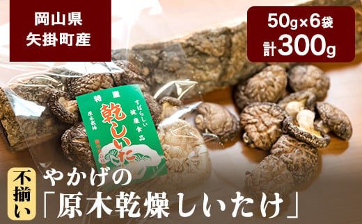 9. やかげの「原木乾燥しいたけ」 不揃い 備中南森林組合 岡山県矢掛産《60日以内に出荷予定(土日祝除く)》