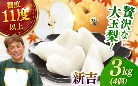 【2025年発送 先行予約】【化粧箱入り】新吉（新高）4個入（約3kg） / 梨 梨 梨 梨 梨 梨 梨 / 佐賀県 / 大川三世代 [41AEAB009]