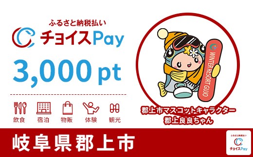 
                  郡上市チョイスPay 3,000pt【会員限定のお礼の品】
                