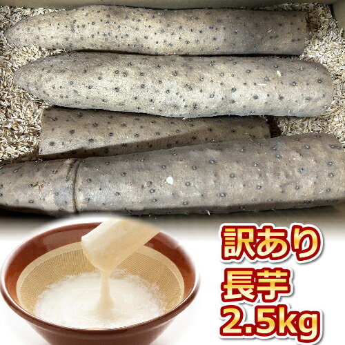 【ふるさと納税】943.≪先行受注≫【訳あり】砂丘長いも2.5kg 長芋 ながいも 鳥取県産 ※11月上旬頃～3月下旬頃に順次発送予定 | 野菜 やさい 根菜 とろろ 長芋 芋 いも 鳥取県 北栄町 おすすめ 人気 送料無料
