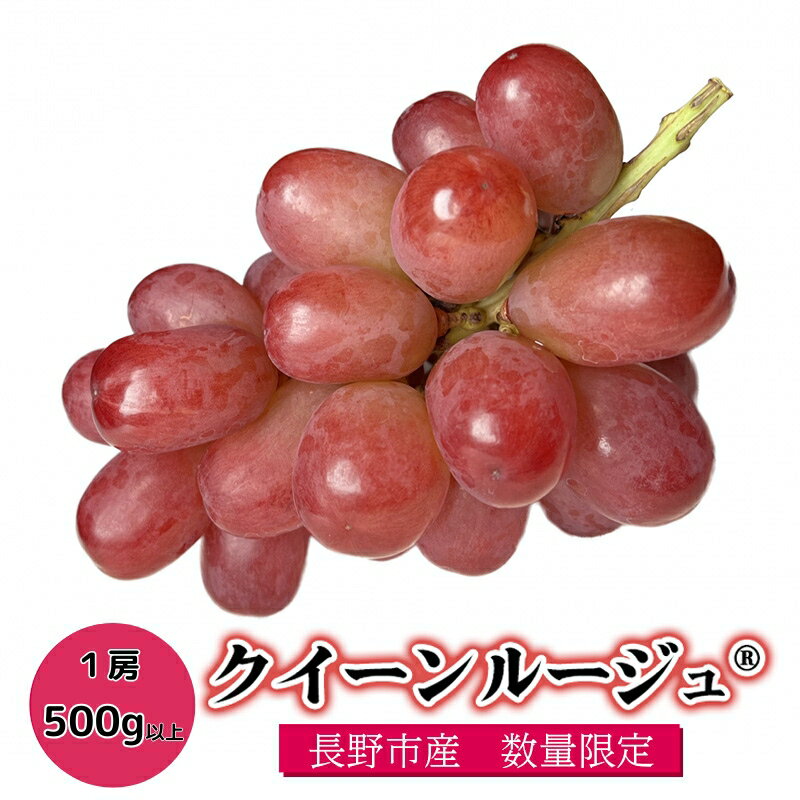 【ふるさと納税】クイーンルージュ(登録商標) 1房　大房500g以上入り ぶどう ブドウ 葡萄 長野県 長野県産 2025年秋発送　お届け：2025年9月下旬～2025年11月上旬まで