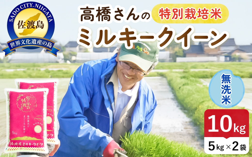 
                  令和8年産 佐渡島産ミルキークイーン 無洗米10kg 特別栽培米 | 新潟県産ミルキークイーン 新潟産ミルキークイーン 佐渡産ミルキークイーン ミルキークイーン 特別栽培米 お米 米 無洗米 むせんまい おこめ コメ 10キロ にいがた さど 新潟県 佐渡市
                