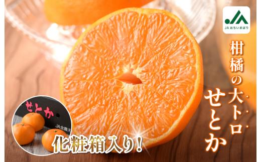 【先行予約】＼毎年売切れ！／せとか（贈答用） 化粧箱 3L～L 10～15玉【KC00630】2027年2月上旬～3月下旬に順次発送予定 ふるさと納税 愛媛県 今治市 先行予約 今治産 大人気 せとか 贈答用 みかん フルーツ 甘い 柑橘 果物 愛媛みかん