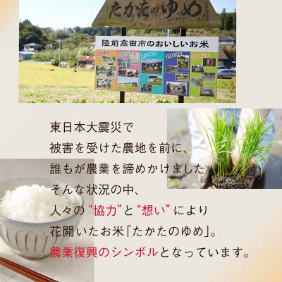ふるさと納税 陸前高田市 ブランド米 たかたのゆめ パックライス 150g×6パック 米 ご飯 白米 パックごはん |  | 01