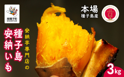【先行予約】本場種子島産 安納芋 3kg（使い切りサイズ）有限会社南種子衛生 さつまいも 蜜芋 焼き芋 天然スイーツ 南種子町産《2026年12月上旬～順次発送》 【有限会社南種子衛生 種さん】