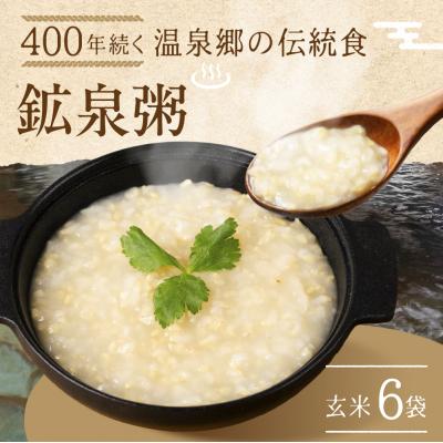 ふるさと納税 下呂市 鉱泉粥6食セット 鉱泉粥玄米×6袋(1袋260g入)【91-5】