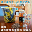【ふるさと納税】 麦茶 のどごしさやか「はだか麦茶」1kg 入れ 10個 飲料 大容量 むぎ茶 煮出し 八木音 静岡県 静岡県 藤枝市
