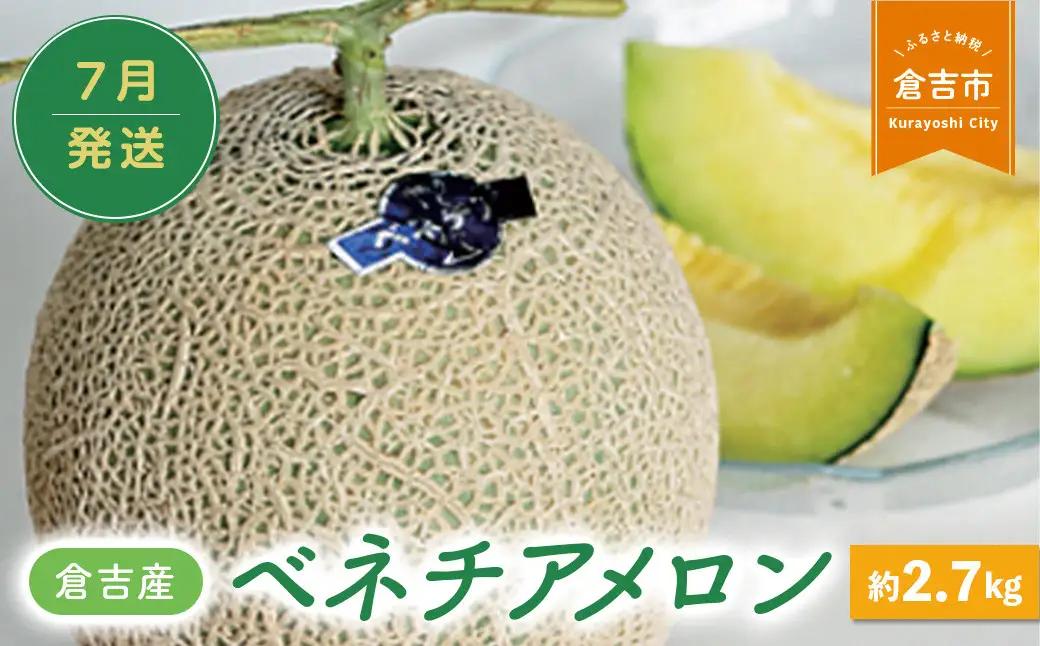 ベネチアメロン 約2.7kg【倉吉産】（7月発送） 2026 メロン