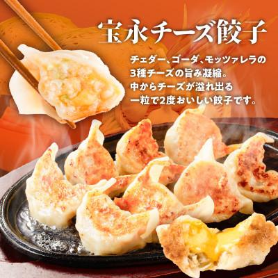 ふるさと納税 苫小牧市 ぎょうざの宝永　チーズ餃子セット(宝永餃子15個入×2袋&チーズ餃子15個入×2袋)合計1.5kg |  | 02