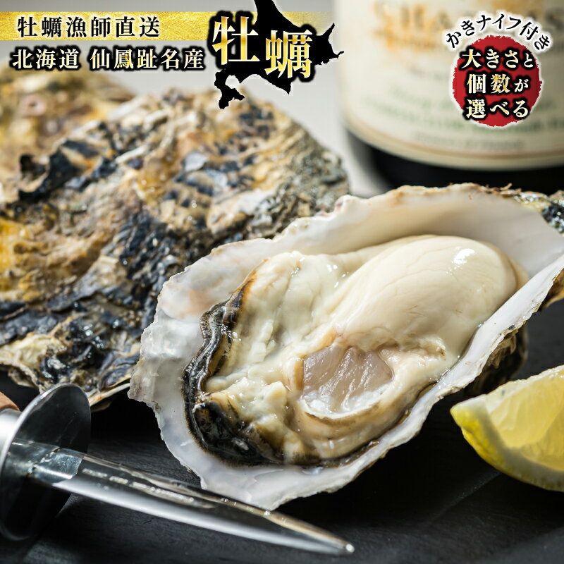 【ふるさと納税】先行予約 北海道 仙鳳趾名産 牡蠣 + かきナイフ付き【大きさ と 個数が選べる】かき漁師直送 K1【出荷時期 2025年9月1日ごろ〜順次出荷予定】センポウシ 釧路町の東 厚岸湾の西 カキの名産地 北海道 釧路町 釧路超 特産品 br02