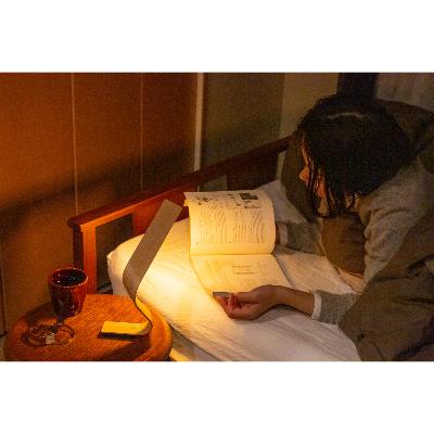 ふるさと納税 小千谷市 【雪国のブナ使用】ストーリオ タンザク ランプ ツイスト型【曲げ木のテーブルランプ・USB充電式】 |  | 01