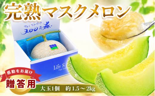 メロン めろん 茨城  2026年発送 1玉 約1.5～2kg 果物 くだもの フルーツ 果実 青肉 青肉メロン 1個 国産 アールスメロン マスクメロン あーるすめろん ますくめろん meron melon 旬 デザート 産地直送 農家直送 数量限定 期間限定 贈答用 プレゼント ギフト 贈り物 完熟 茨城県 鉾田市 メロンの森
