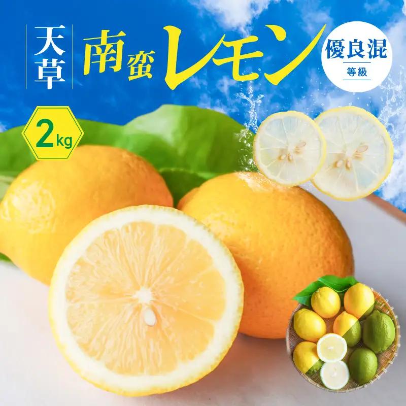 S131-005A_天草南蛮レモン　等級「優良混」2kg