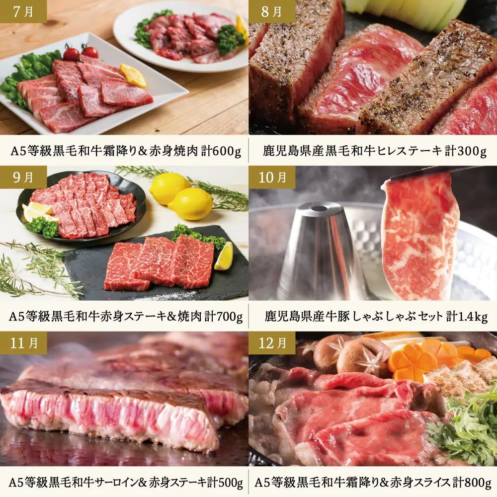 【定期便 全12回】情熱牧場 鹿児島県産お肉の定期便 プレミアムコース お肉 ステーキ すき焼き しゃぶしゃぶ A5等級 ブランド 黒毛和牛 牛肉 豚肉 焼肉 定期便 冷凍