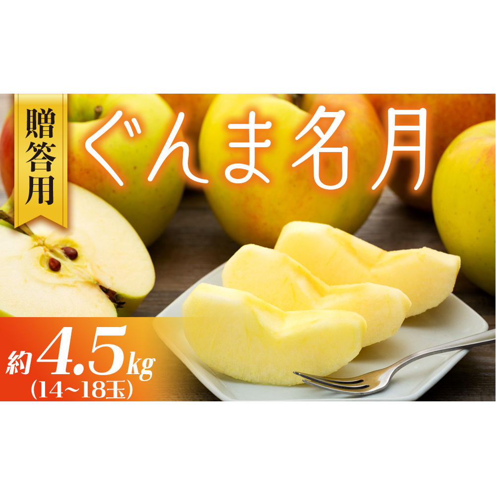 りんご ぐんま名月 4.5kg 14～18玉 贈答用 果物 くだもの フル−ツ 林檎 リンゴ ぐんま名月りんご 信州りんご 旬の果物 旬のフルーツ ギフト 贈り物 プレゼント 長野 長野県 箕輪町