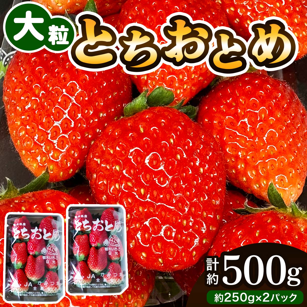 大粒とちおとめ [2パック／約500g]《2026年1月上旬より順次発送》｜先行予約 とちおとめ いちご イチゴ 苺 大粒 果物 果実 フルーツ 産地直送 日光市産 栃木県産 数量限定 [0784]
