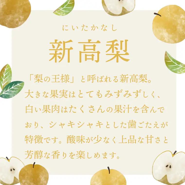 新高梨 約3kg 09月下旬発送  梨 先行受付
