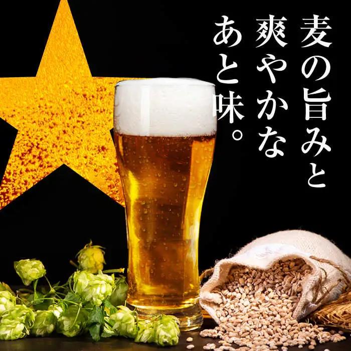 サッポロビール 黒ラベル 500ml 24缶  生ビール 缶ビール 大分県日田市  ARDC008