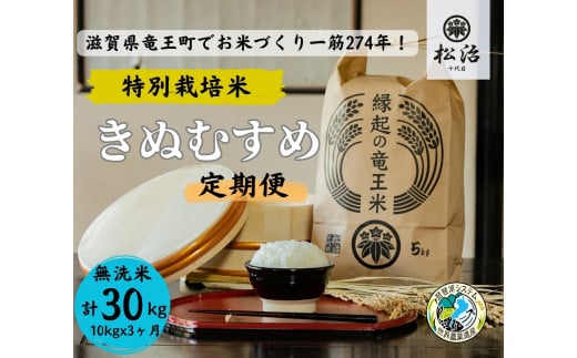  【 新米予約 】 定期便 3ヶ月 きぬむすめ 無洗米 10kg 縁起の竜王米 ( 令和6年産 先行予約 新米 無洗米 30kg 定期 3回 お米 定期便 おこめ ごはん 米 特別栽培米 ブランド米 ライス こだわり米 ギフト 国産 縁起の竜王米 滋賀県竜王町 )