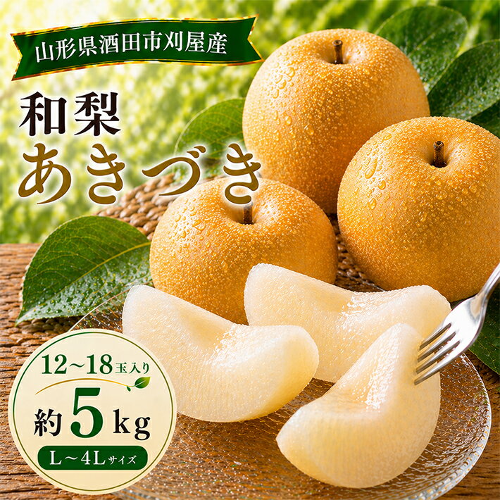 【ふるさと納税】刈屋梨 和梨 あきづき 約5kg 12～18玉 L～4Lサイズ 山形県酒田産 9月下旬〜10月中旬頃お届け ※着日指定不可 なし 秋 果物 フルーツ お取り寄せ 東北 山形県 酒田市 刈屋産