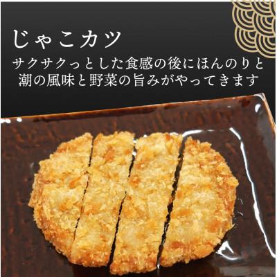 ふるさと納税 松山市 愛媛県産　真鯛のあら炊き・宇和海鯛めし2人前・じゃこカツ5枚 |  | 03
