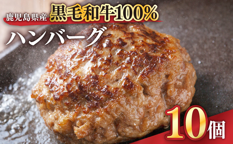 
1525 鹿児島県産黒毛和牛100％ハンバーグ10個

