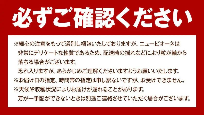 岡山県産 ご家庭用 ニューピオーネ 2～3房 約1.2kg【配送不可地域：離島】