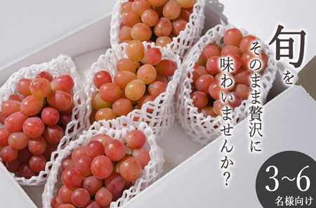 甲州市産 サンシャインレッド 4～5房入（約2.2kg）自然農法【2026年発送】（BNC）D2-425 サンシャインレッド フルーツ