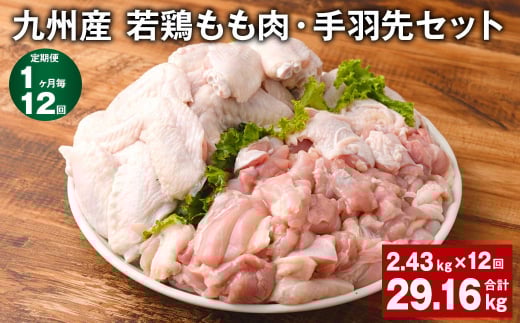 【1ヶ月毎12回定期便】 九州産 若鶏もも肉・手羽先セット 計約29.16kg（約2.43kg×12回） 鶏肉 もも肉 手羽先【お申込み翌月から出荷】
