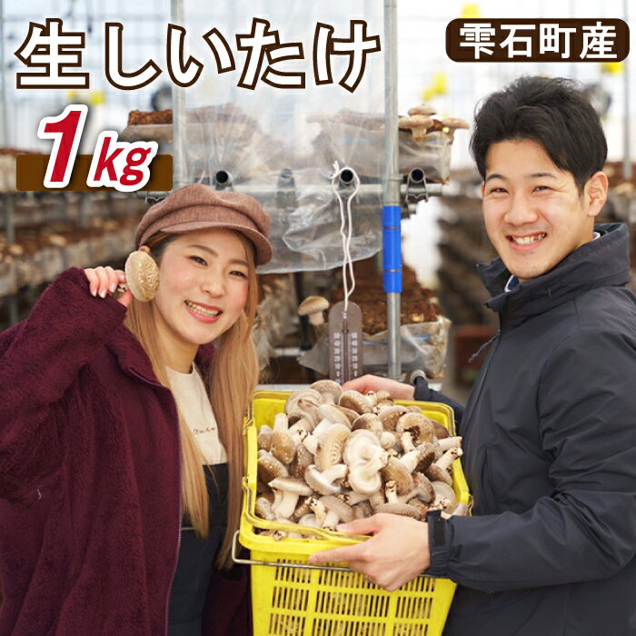 【ふるさと納税】しいたけ おすすめ きのこ 生しいたけ 1kg 食べやすい 椎茸 シイタケ 臭み少なめ キノコ 茸 国産 雫石町産 鍋 煮込み 出汁 料理 ご飯 美味しい たっぷり 若手農家 応援 バーベキュー BBQ 生 おいしい 肉厚 汁物 さくらだファーム 岩手県 雫石町 送料無料
