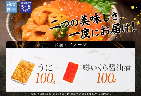 3404. うに 100g 鱒いくら醤油漬け 100g ウニ チリ産 冷凍 雲丹 ますいくら 鱒 マス イクラ いくら いくら醤油漬け 海鮮 丼 送料無料 北海道 弟子屈町