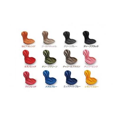 ふるさと納税 蒲郡市 ジムドライブ2　チャコールブラウン_【G0060】 |  | 03