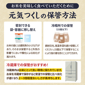 九州・福岡からお届け！ブランド米「元気つくし」定期便 10kg(5㎏×2)【全10回】 お米 米 コメ 白米 特A 直送 お弁当 おにぎり 炊きたて ツヤ 粘り もちもち 弾力 卵かけご飯 福岡県 八
