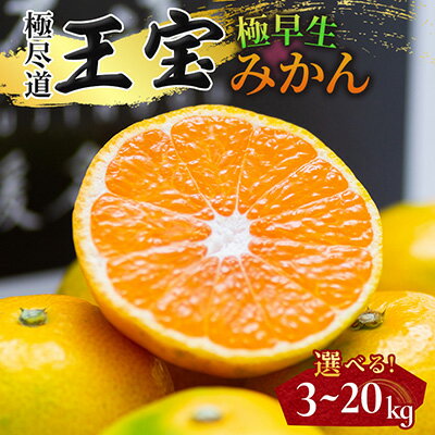 【ふるさと納税】【愛媛名産】極早生みかん 3kg/5kg/10kg/20kg_ みかん ミカン 極早生 極早生みかん 玉宝 極尽道 愛媛のみかん S M L 小玉 大玉 サイズ混合 柑橘 果物 フルーツ 美味しい 甘い 愛媛 愛媛県 八幡浜市 人気 送料無料 【G1510670】
