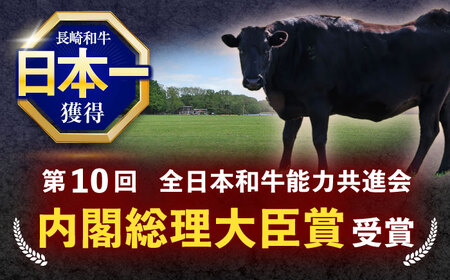 【6回定期便】長崎和牛サーロインステーキ 約400g(200g×2枚)【株式会社 黒牛】[OCE035]