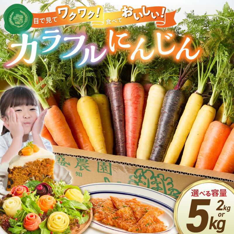 【ふるさと納税】メディア出演多数 期間限定 虹色 カラフルにんじん 選べる 容量 2kg 5kg 予約受付 人参 塩農法 野菜 農家直送 ジュース サラダスティック ギフト用 βカロテン ポリフェノール リコピン 農作物 鈴盛農園 お取り寄せ 愛知県 碧南市 送料無料