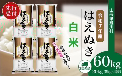 ＜令和7年産米先行受付＞ 鮭川村 はえぬき 【白米】 定期便 60kg （20kg×２ヶ月間隔で3回お届け）＜配送時期選べます＞