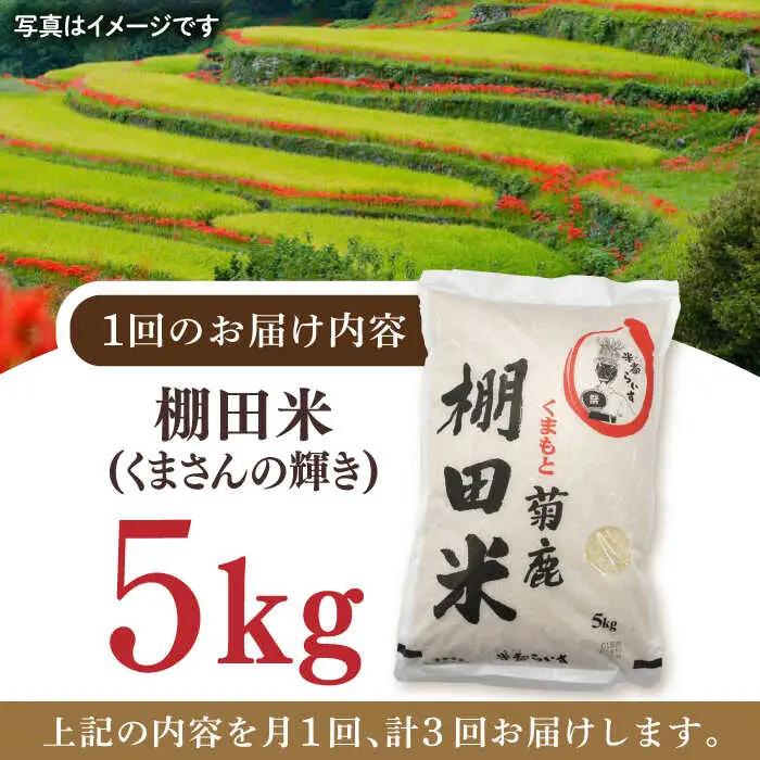 【3回定期便】菊鹿 棚田米 5kg【ミヤタ 株式会社 】熊本棚田米 白米 ごはん 米 こめ お米 ご飯  [ZAH006]