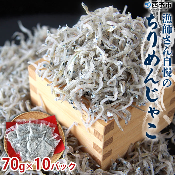 ＜漁師さん自慢のちりめんじゃこ 合計700g（70g×10パック）＞ しらす シラス おじゃこ 魚 さかな 小魚 魚介類 乾燥 海の幸 海鮮 小分け 個包装 おすそ分け 国産 産地直送 特産品 濵田水産 愛媛県 西予市