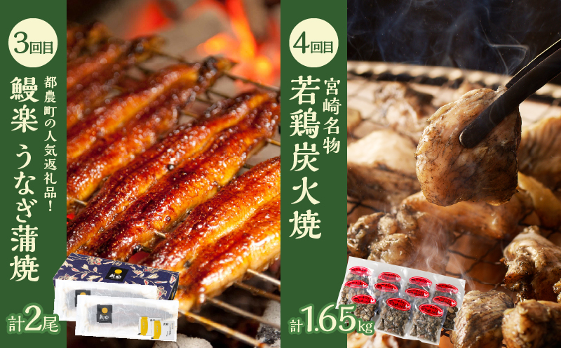 ≪6か月お楽しみ定期便≫都農町定期便(竹) 肉 加工品 鰻 国産_T999-0061